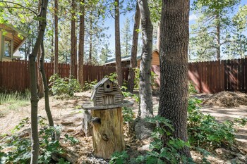 the oasis chalet