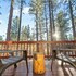 the oasis chalet