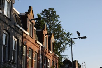 canal view stay amsterdam
