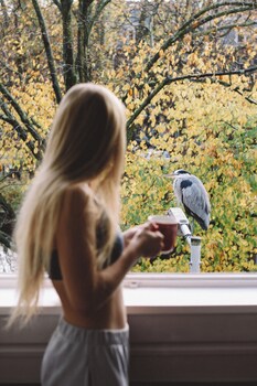 canal view stay amsterdam