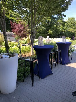 bandb de witte merel deluxe