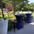 bandb de witte merel deluxe