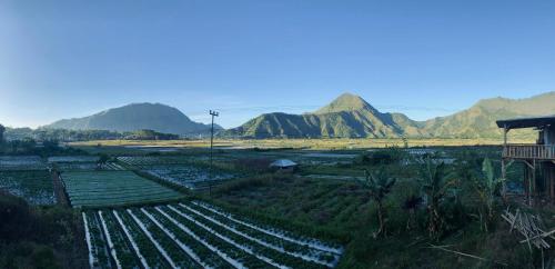 bukit tiga lima boutique hotel