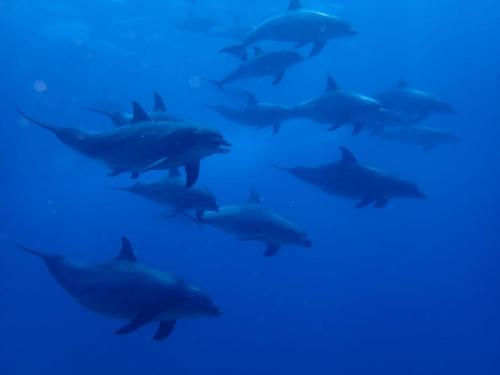 cocolala beach house