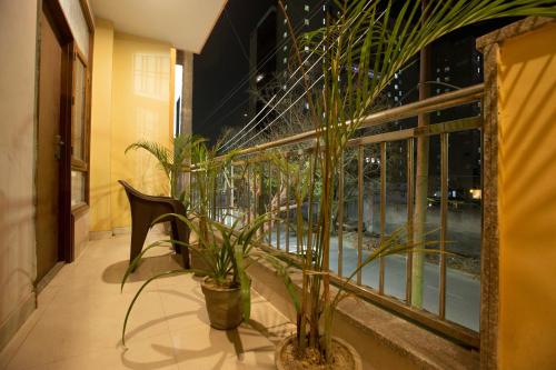 hotel surya palace
