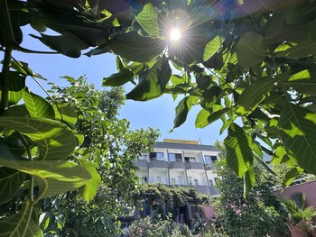 olympos likya apart otel