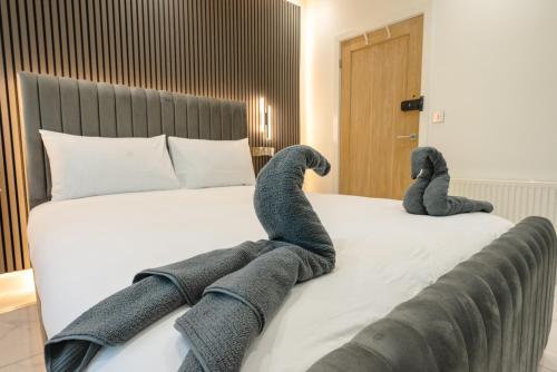 oyo bellevue apartments middlesborough