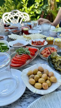 villa lui hotel alacati