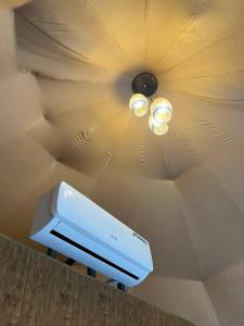 wild oryx camp bubbles