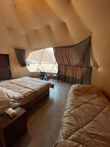 wild oryx camp bubbles