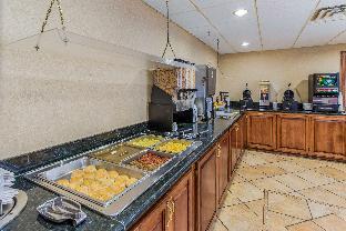 quality inn and suites downtown