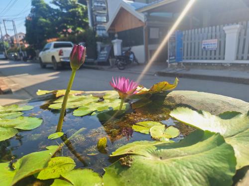 luang prabang