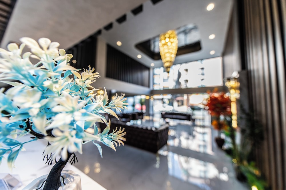 blue vista hotel and spa