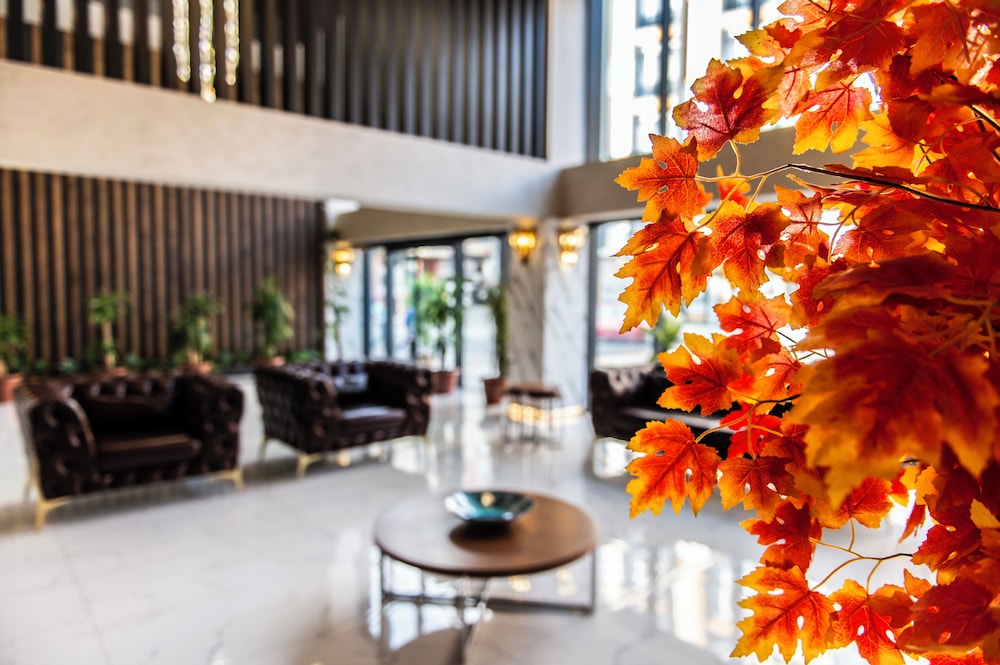 blue vista hotel and spa