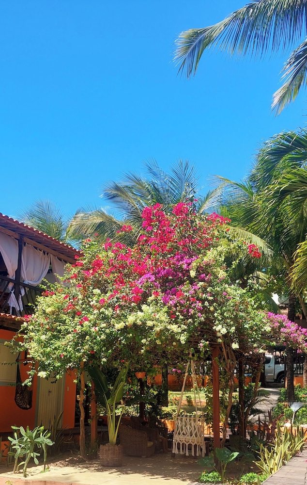 jijoca de jericoacoara