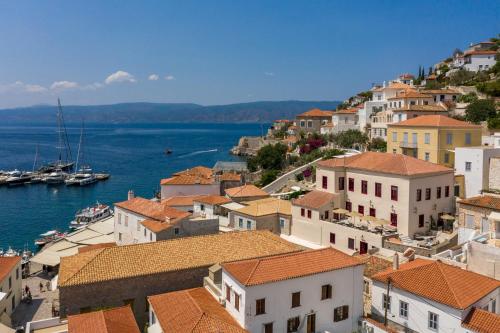 hydra