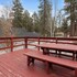 boulder pines