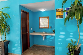 hotel laurel cancun centro