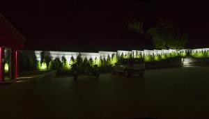 holic