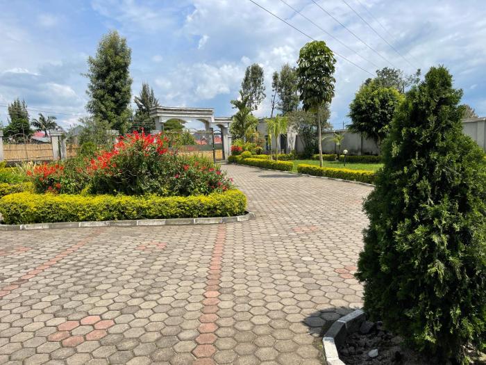 virunga house