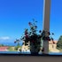 kairos tropea