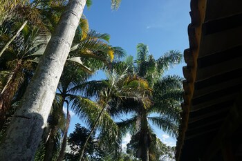 palma real coliving