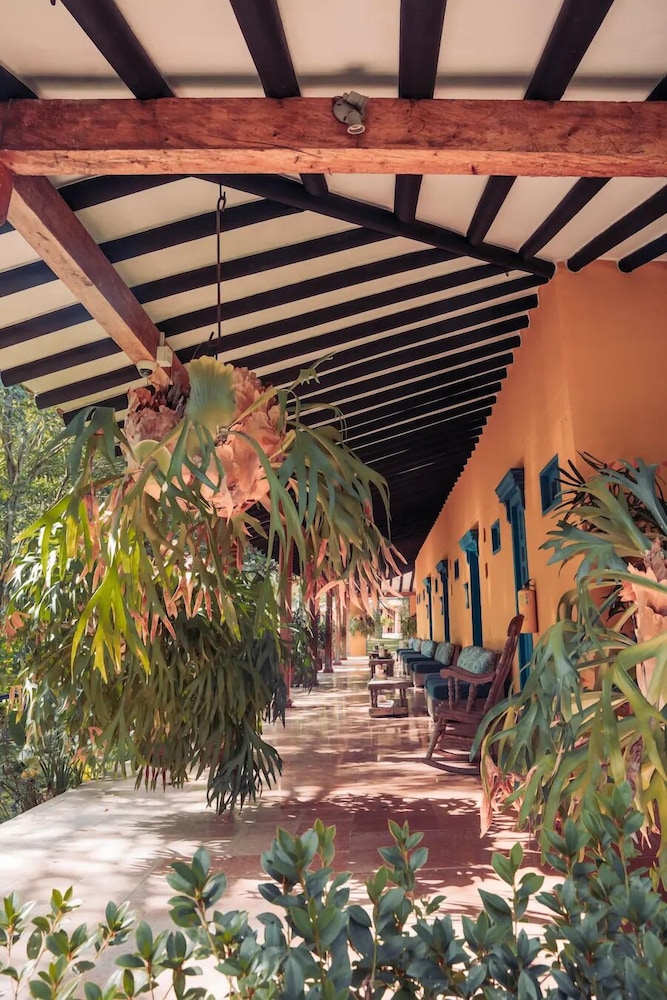palma real coliving