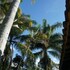 palma real coliving