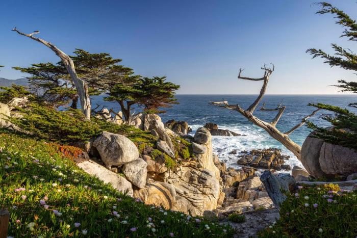 home2 suites by hilton at the dunes on monterey bay