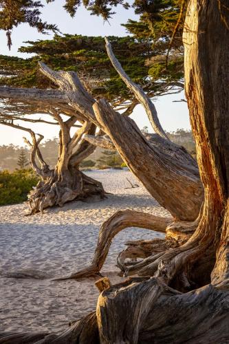 home2 suites by hilton at the dunes on monterey bay