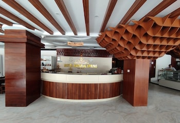 hotel natural spring pvt ltd