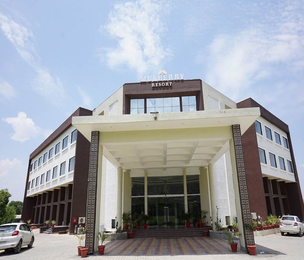 bamboo saa mulberry resort pushkar