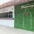 mata de sao joao