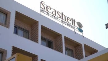seashell