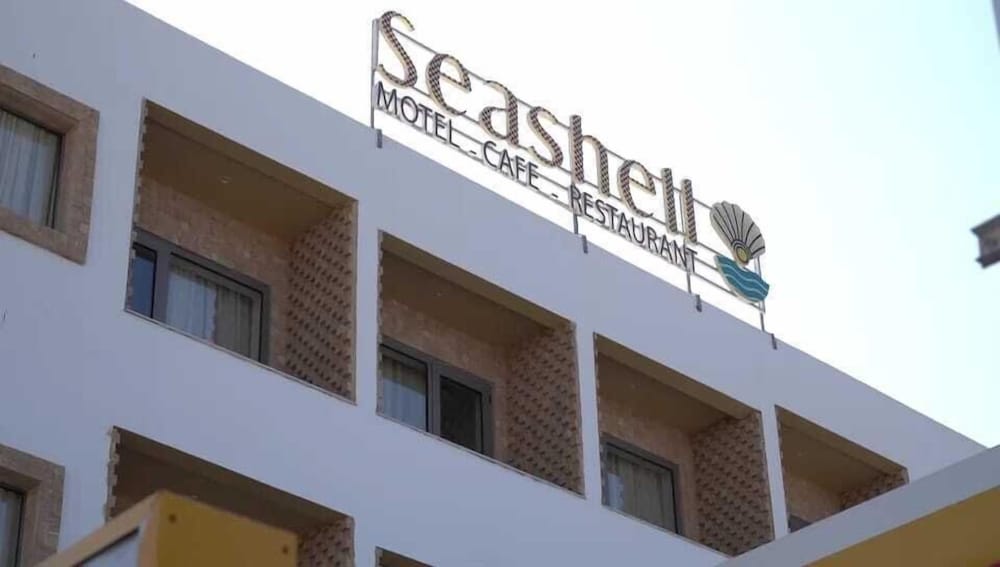 seashell