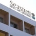 seashell