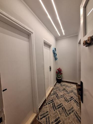 downtown family suites