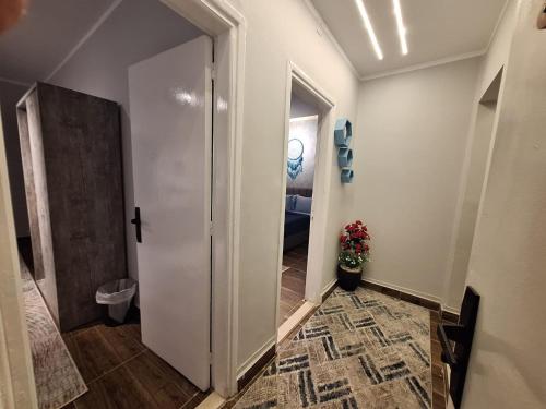 downtown family suites