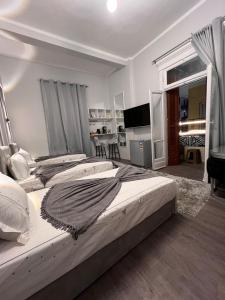 downtown family suites