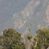 shiva home stay