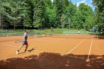 hotel svicarija terme dobrna