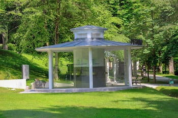 hotel svicarija terme dobrna