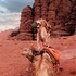 the villas bedouin boutique resort