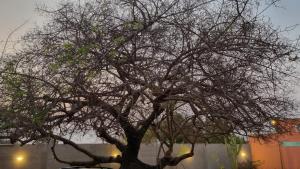 pousada jardim da lagoa