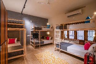 zostel kochi ernakulam