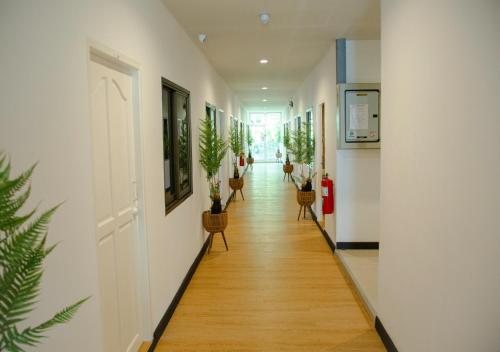 rq phuket patong beach by collection o