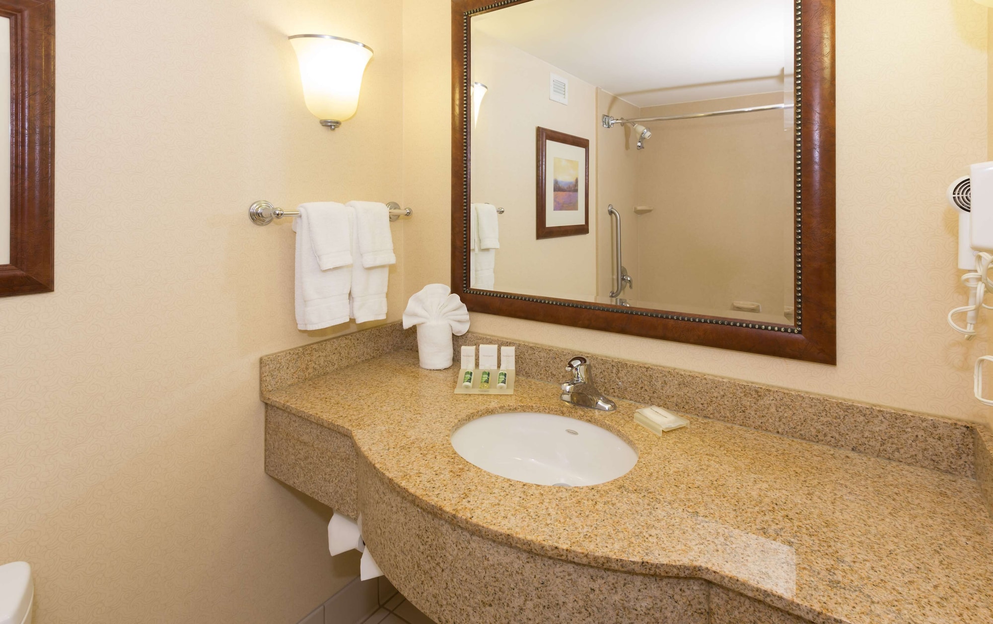 hilton garden inn buffalo airport