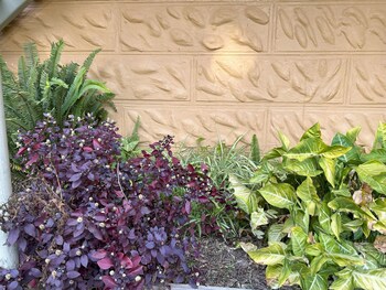 breimba street apartments