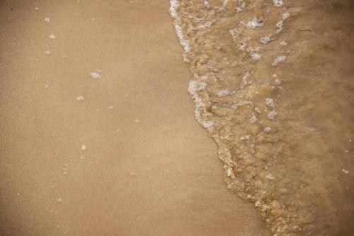 the waters edge