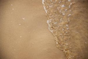 the waters edge